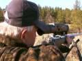 videos de Blackhills Elk