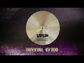 UFIP Earcreated Cymbals - THE EXPERIENCE SERIES