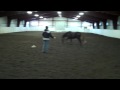 Topper Lunging.MP4