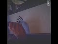 Quick Kanji