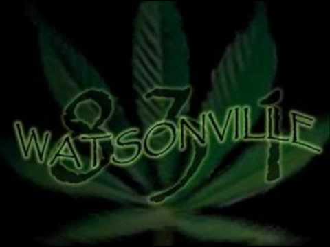 amor sureno. SOME SURENOS FROM UPSTATE