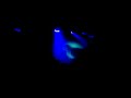 fabric with spectrum as special guests. kick ass!