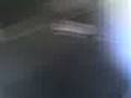 videos de reppin in poplar!.3gp