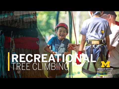 Adaptive Outdoor Recreation: Tree Climbing for Kids with Disabilities