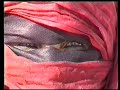عيونهم على الصحراء sus ojos puestos en el sahara