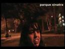 hueving en surco 3   cuenta los manyas 