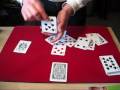 A Dream of Aces - David Blaine's Split Spade Lions Black Deck