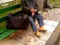 Dalak5