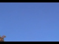 Chemtrails D.C. Suburbs CHEMICAL TRAILS illuminati NWO haarp