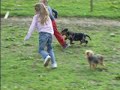 D�dicasse se defoule......les enfants aussi....