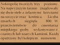 cmentarz zak?ad psychiatryczny cmentarz zak?ad psychiatryczny