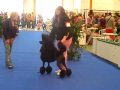 SANY0117