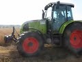Switchgrass harvesting Poland - proso rózgowate Switchgrass harvesting Poland - proso rózgowate