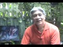 Ed dela Torre