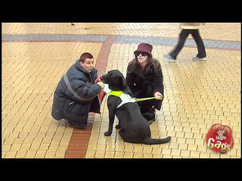 Giving Doggy Directions Prank