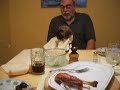 Domino The Puggle - First Thanksgiving - October 9th, 2006