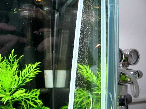 ISTA 3 IN 1 COMPACT V CO2 DIFFUSER - L 1pc/card, 24cards/outer  ISTA 3 IN 1 COMPACT V CO2 DIFFUSER - L 1pc/card, 24cards/outer