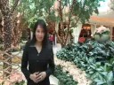 Chithi Dio (Remix) Old Bangla Movie Song in Hollywood Style