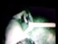 firing of the paintball cannon AKA potato gun