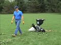 Electric Wood Chipper Leaf Shredder Chipping Maple Branches