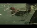 Zane Swimming to Wall