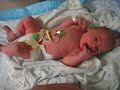 Isabelle Gainsford - 1 Hour after Birth Isabelle Gainsford - 1 Hour after Birth