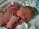 Isabelle Gainsford - 1 Hour after Birth