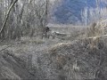 enduro xtm hm ktm husaberg