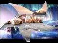 Videoclipul lui Floare_de_castan