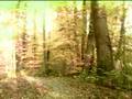 videos de STROBE-L    I'll Bring You The Light