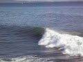 Surfers Surfers
