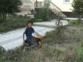Daimi �zdogan - Divane G�nl�m (damar mi damar)