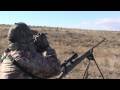 Coyote Hunting - Bucking The Odds Video VII