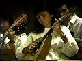 POLIFONIA CROMATICA/LUIS ESCALANTE/EL CHAGUEYCALIPSO