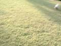videos de MOV09395.MPG
