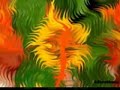 ras luta i grizzlee - dotkn?? ci?