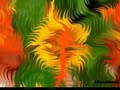 ras luta i grizzlee - dotkn?? ci?