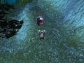 Zinsbog, PVP Master Zinsbog, PVP Master