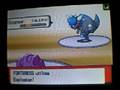 Pokemon DP : Harvest/P€ vs Joeblack
