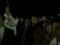 Michael and Sara Freedman - Davidovits Wedding! Celebrtation