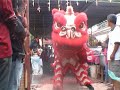 Lion Dance