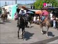 videos de DESFILE HIPICO FERIA DE LA GOMERA 2008 No. 2