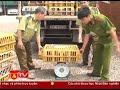 Click here to watch this video Bắt giữ xe chở gần 4 tấn gà lậu vào Hà Nội