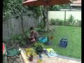 Gardening 08