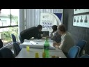 NG-PALP Reuni�o 17 Setembro 2008 Parte4