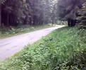 Yamaha yz 125
