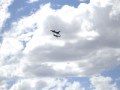 P-51 Mustang and F-16 Fly-by