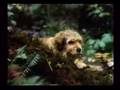 Disney Channel magzine making of benji the Hunted 1988