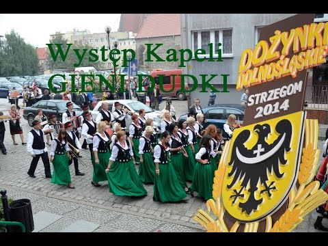 Click to View : Dożynki Dolnośląskie Strzegom 2014 – relacja z koncertu Kapeli Gieni Dudki z gminy Czernica