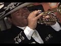 la paloma solo de trompeta de cesar rivera lima peru